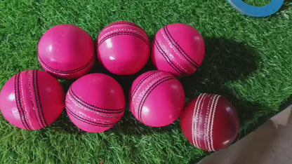 Pink Leather Cricket Ball Pack