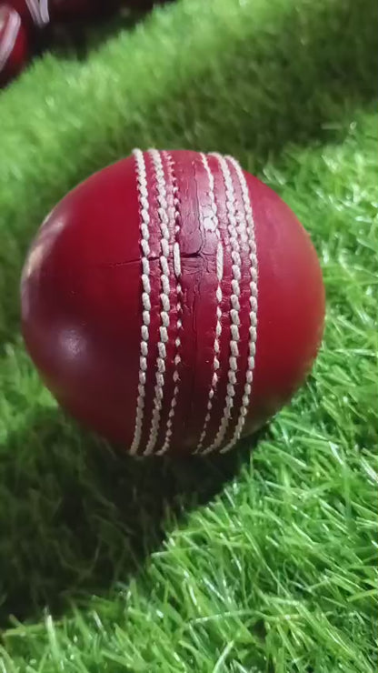 International Cricket ball 50 Over